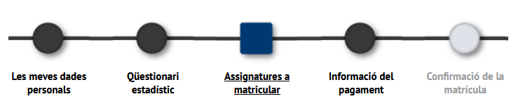 tren de passes de l'aplicatiu per fer la matrícula